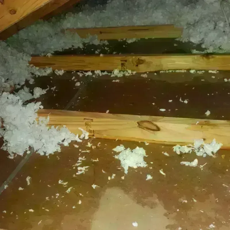 Attic Water Damage in Swansea, IL