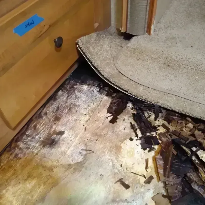 Wood Floor Water Damage in Swansea, IL